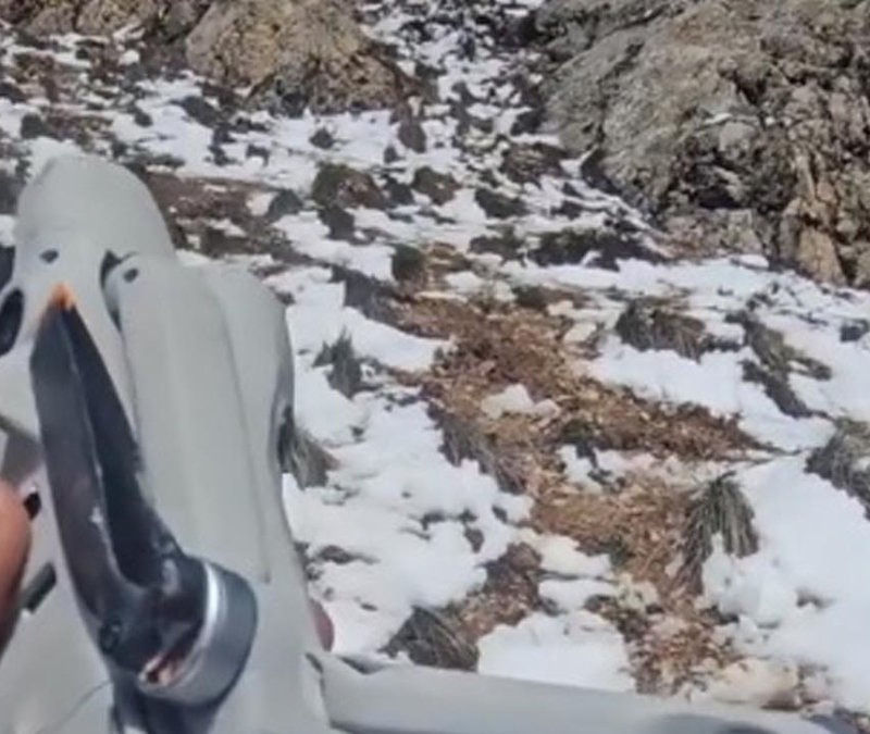 Erzincan’da ilginç olay: Kartal drone'u kapıp havalandı
