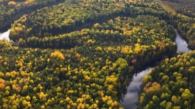 Bilim insanları, Kuzey Denizi'nin altında 16 bin yıllık orman buldu