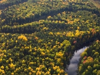 Bilim insanları, Kuzey Denizi'nin altında 16 bin yıllık orman buldu