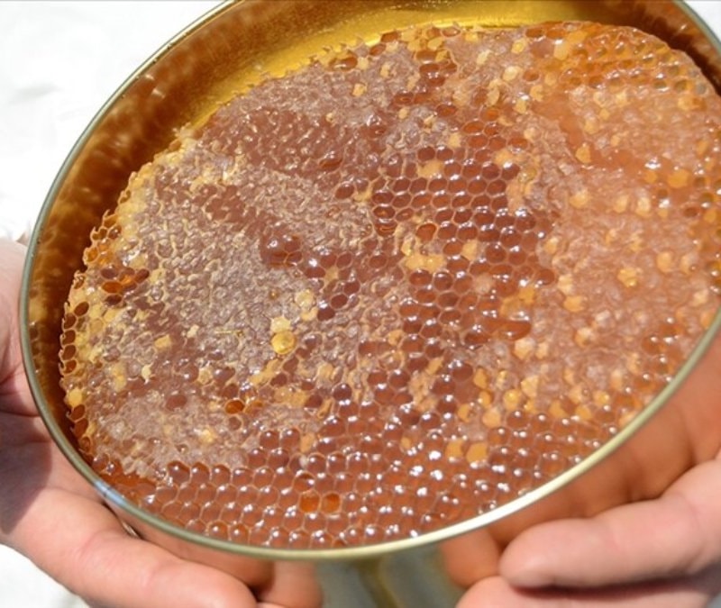 Uygunsuz balın piyasaya girişi engellenecek