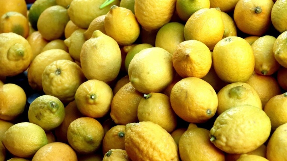 Türkiye yılın ilk çeyreğinde en fazla limonu Rusya'ya gönderdi