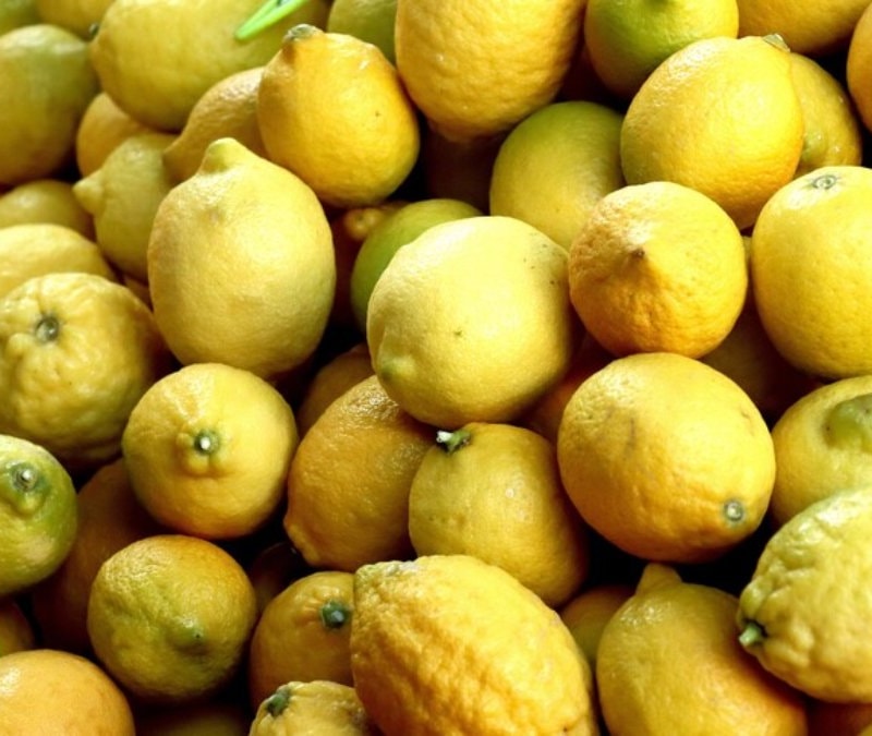 Türkiye yılın ilk çeyreğinde en fazla limonu Rusya'ya gönderdi