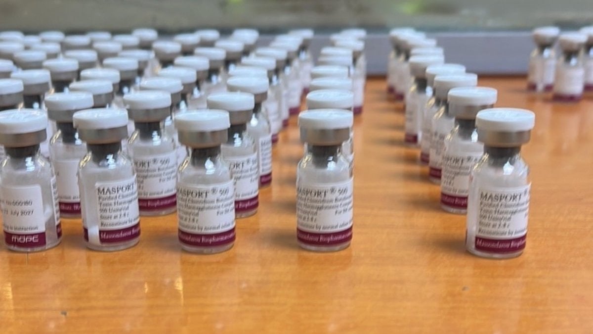 Sınır kapısında cebinde sakladığı 119 şişe botoks maskesiyle yakalandı