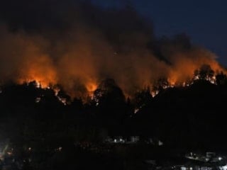 Japonya’da orman yangınları büyüyor: 1000 hektardan fazla alan kül oldu