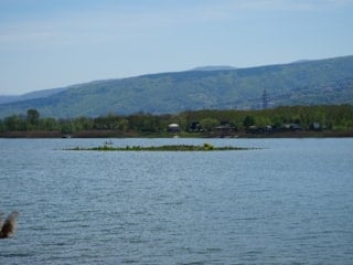 Sapanca Gölü’nde sular çekildi, 'gizemli ada' yeniden ortaya çıktı