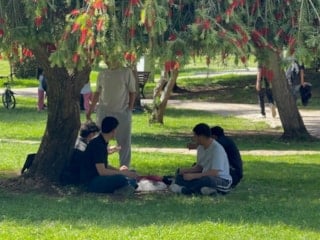 Adana'da termometreler 41 dereceyi gösterdi