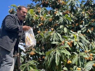 Antalya'da ürettiği Malta eriğine talep düşünce bedava dağıttı