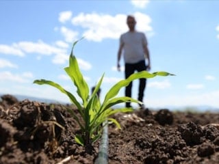 Gübre fiyatlarını dengeleyecek vergi kararı