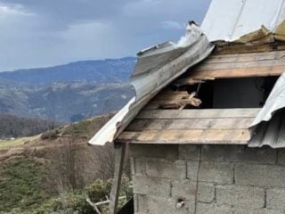 Kış uykusundan çıkan ayılar yaylalara indi: Evler hedefte, endişe büyüyor