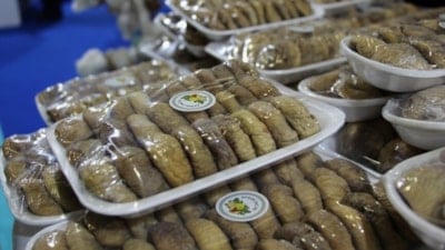 Türkiye'nin coğrafi işaretli ürünlerinin AB tescil süreci hızlandı