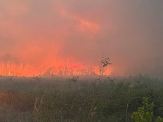 ABD'de orman yangını: 120’den fazla ev küle döndü