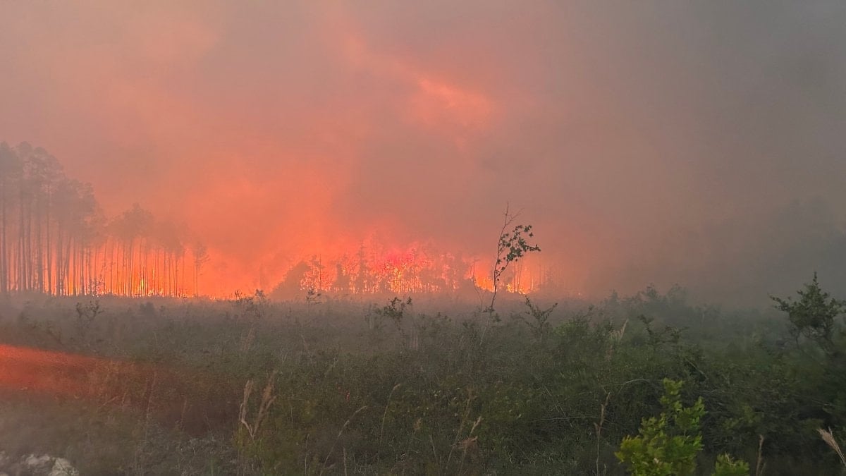 ABD'de orman yangını: 120’den fazla ev küle döndü