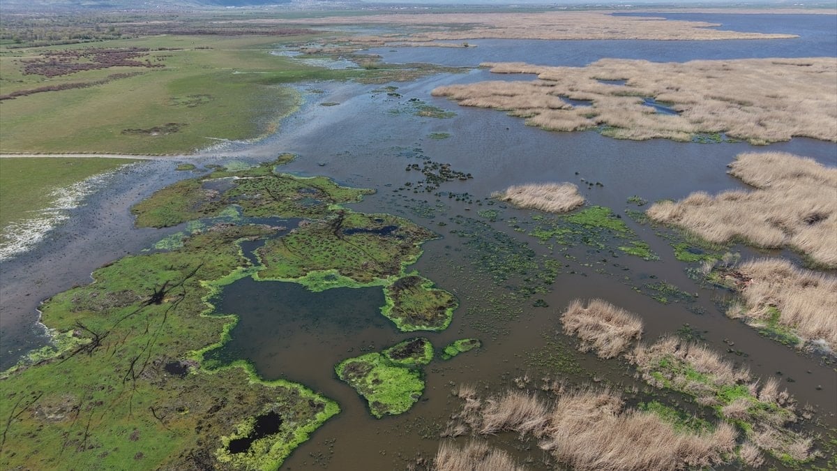 Afyonkarahisar'da kuraklık riski altındaki Eber Gölü'nün su seviyesi üç kat arttı