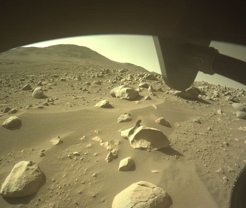 NASA'dan tarihi keşif: Mars'ta yaşamın yapı taşları bulundu