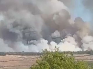 Beykoz'da ormanlık alanda yangın