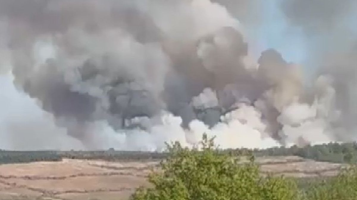 Beykoz'da ormanlık alanda yangın