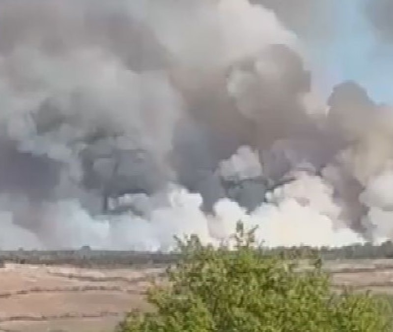 Beykoz'da ormanlık alanda yangın