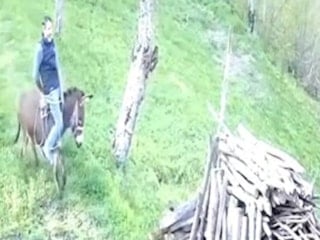 Ordu'da huysuzlanan eşek sahibini yere attı