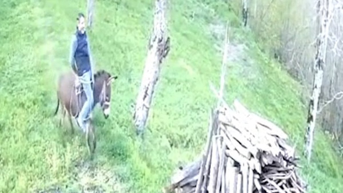 Ordu'da huysuzlanan eşek sahibini yere attı