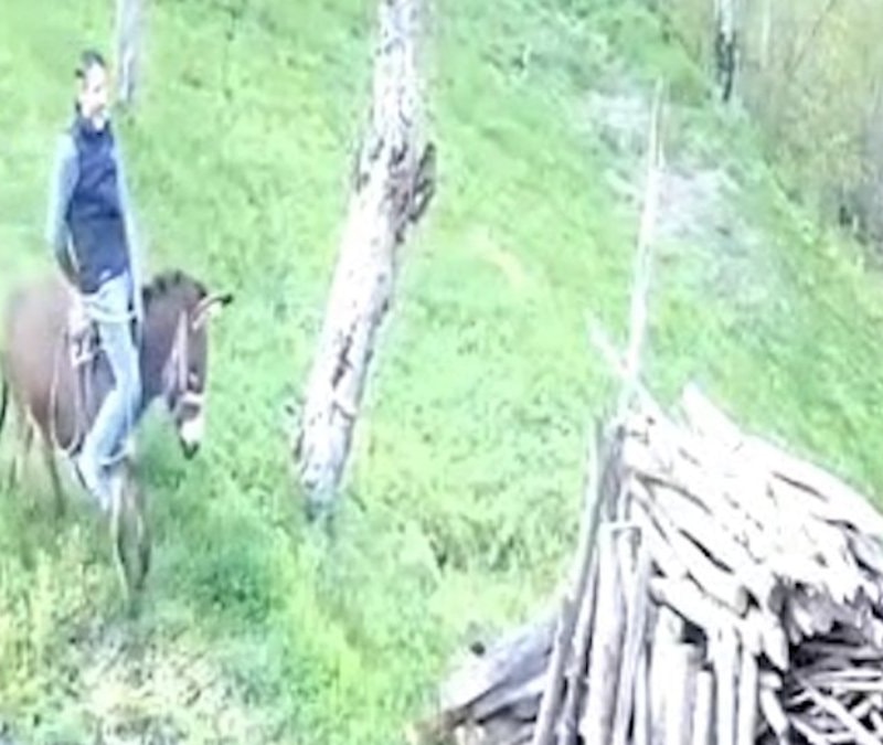Ordu'da huysuzlanan eşek sahibini yere attı