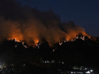 Japonya’da orman yangınları 6 gündür sürüyor