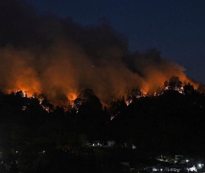 Japonya’da orman yangınları 6 gündür sürüyor