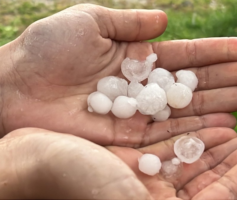 Hatay’da erik büyüklüğünde dolu paniği: Vatandaşlar kaçacak yer aradı
