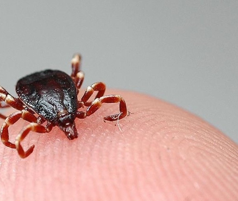 Sivas’ta KKKA şüphesi: 21 yaşındaki genç yaşamını yitirdi