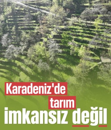 Artvin'de dik yamaçta 60 yıllık emek: Taş duvarlarla büyüyen miras 3. kuşakta