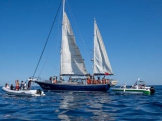 Küresel Sumud Filosu Akdeniz’e açıldı: 65 tekne Gazze için yola çıktı