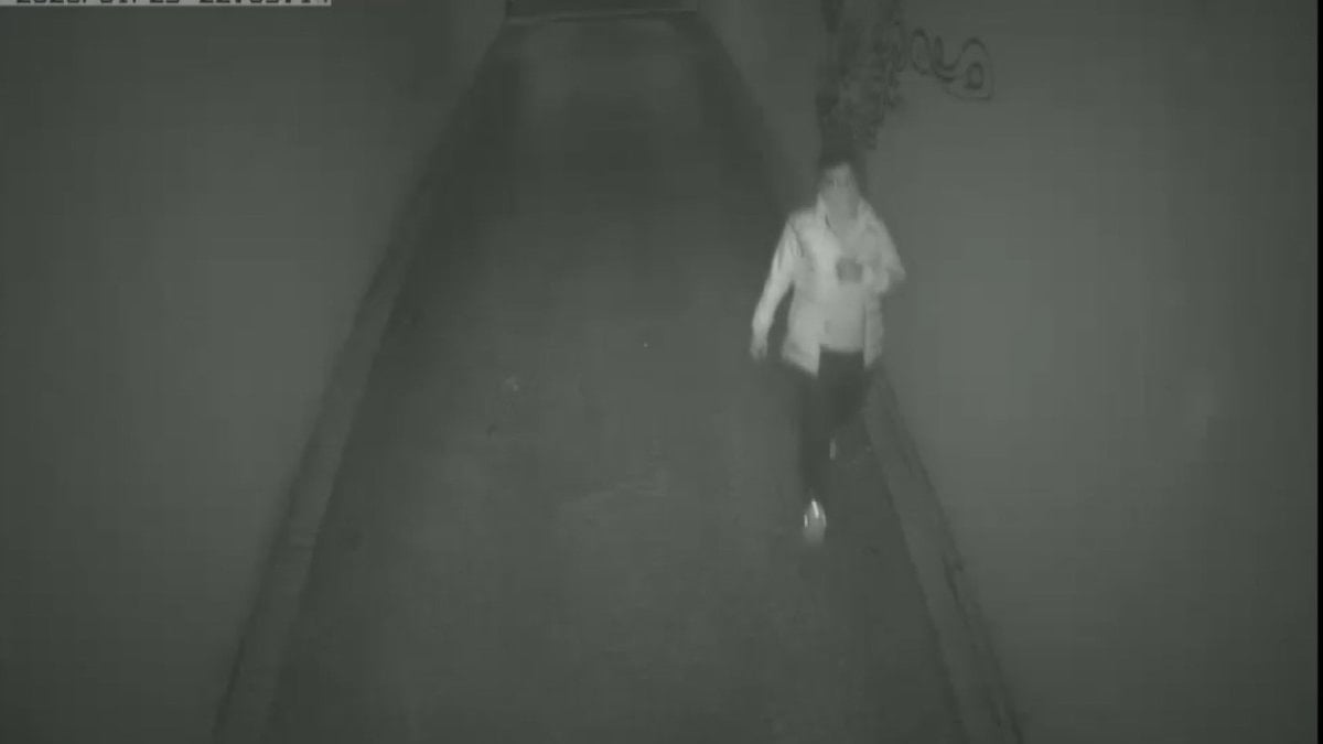 İstanbul'da lüks sitelere dadanan şüpheliler yakalandı: Hırsızlık anları kamerada