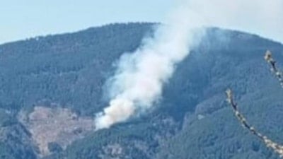 Aydın'da orman yangını