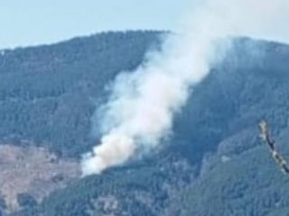 Aydın'da orman yangını