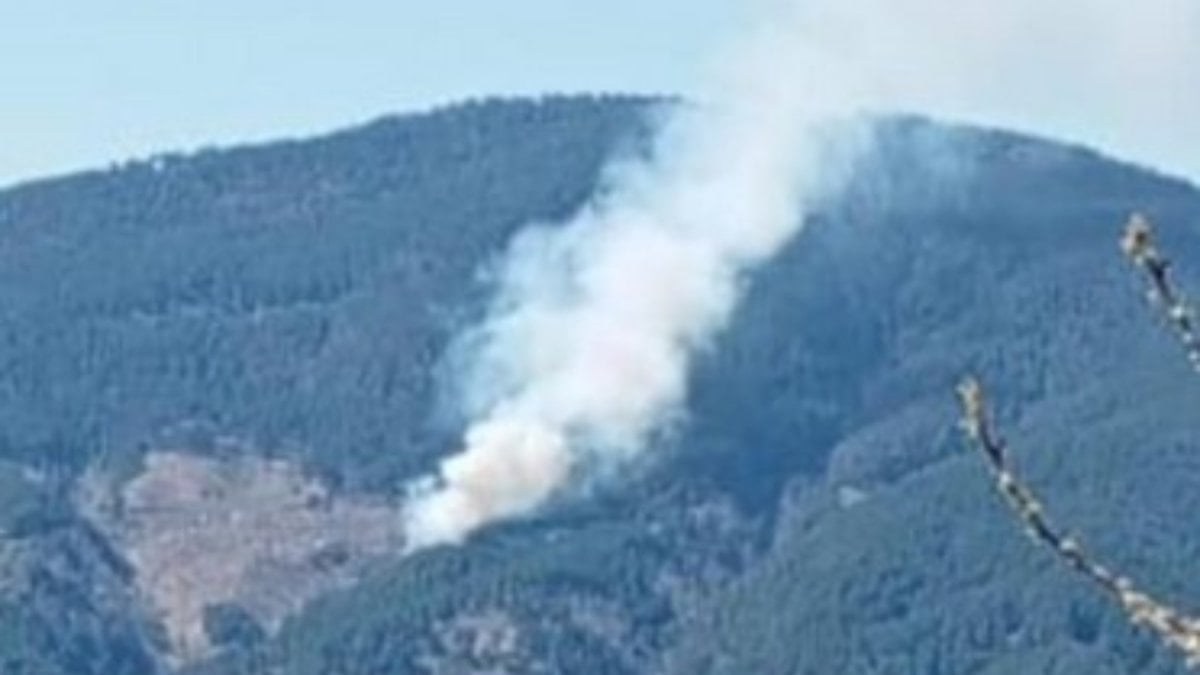 Aydın'da orman yangını