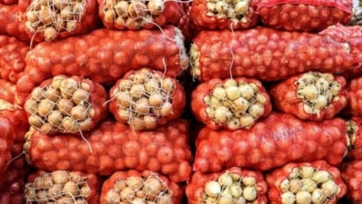 Soğan ihracatı 15 kat arttı