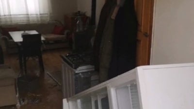 Trabzon'da aç kalan ayılar yayla evine girdi