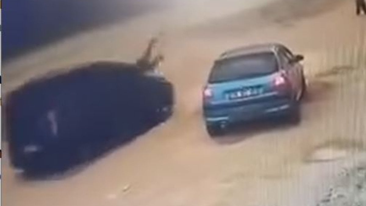 Giresun'da bir şahıs husumetlisini arabayla çarpıp yaraladı