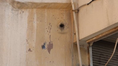 Hatay'da mahalleye yerleşen arılar taş atılınca saldırganlaştı: Kısa süreli panik yaşandı