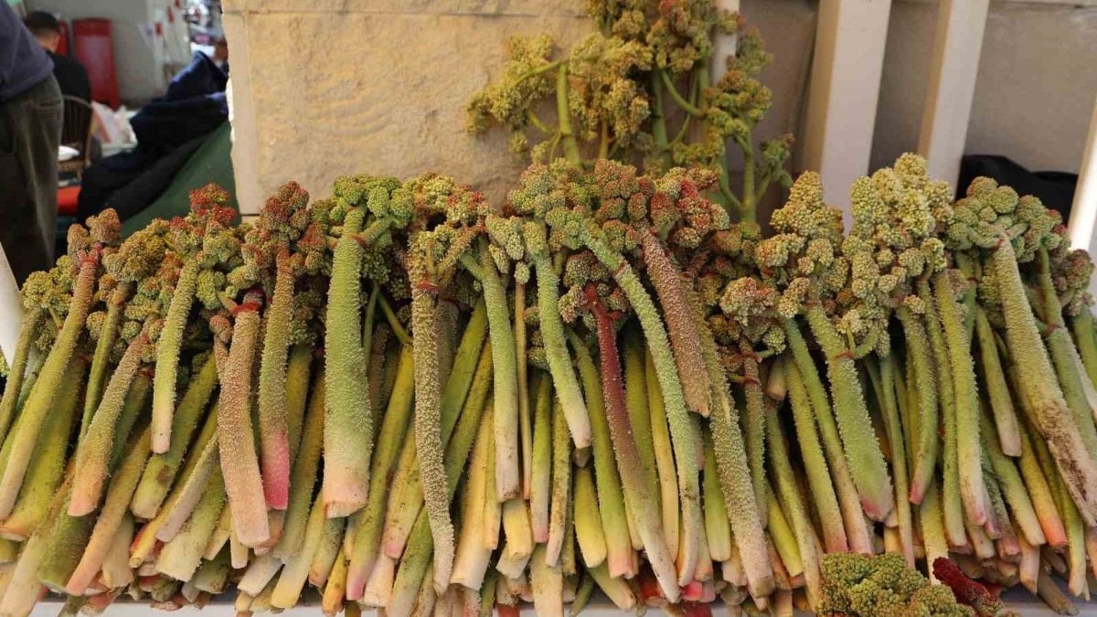 Şeker, kalp, mide dostu: Tezgahlara geldi! Kilosu 400 TL...