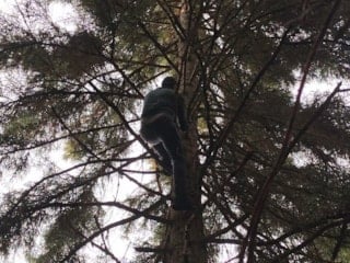 Artvin’de 40 metrelik göknar macerası: Ağaç tepesine takılan drone kurtarıldı