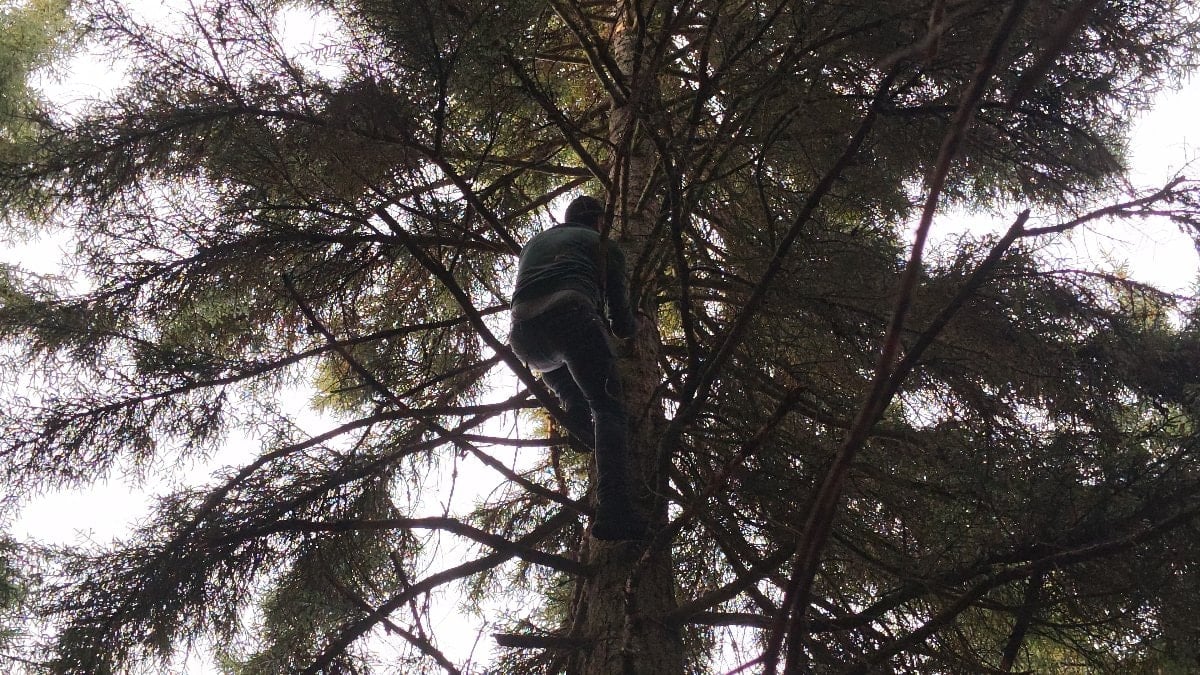 Artvin’de 40 metrelik göknar macerası: Ağaç tepesine takılan drone kurtarıldı