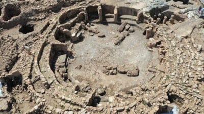 12 bin yıllık beslenme ortaya çıktı: Karahantepe'de bakın ne yemişler