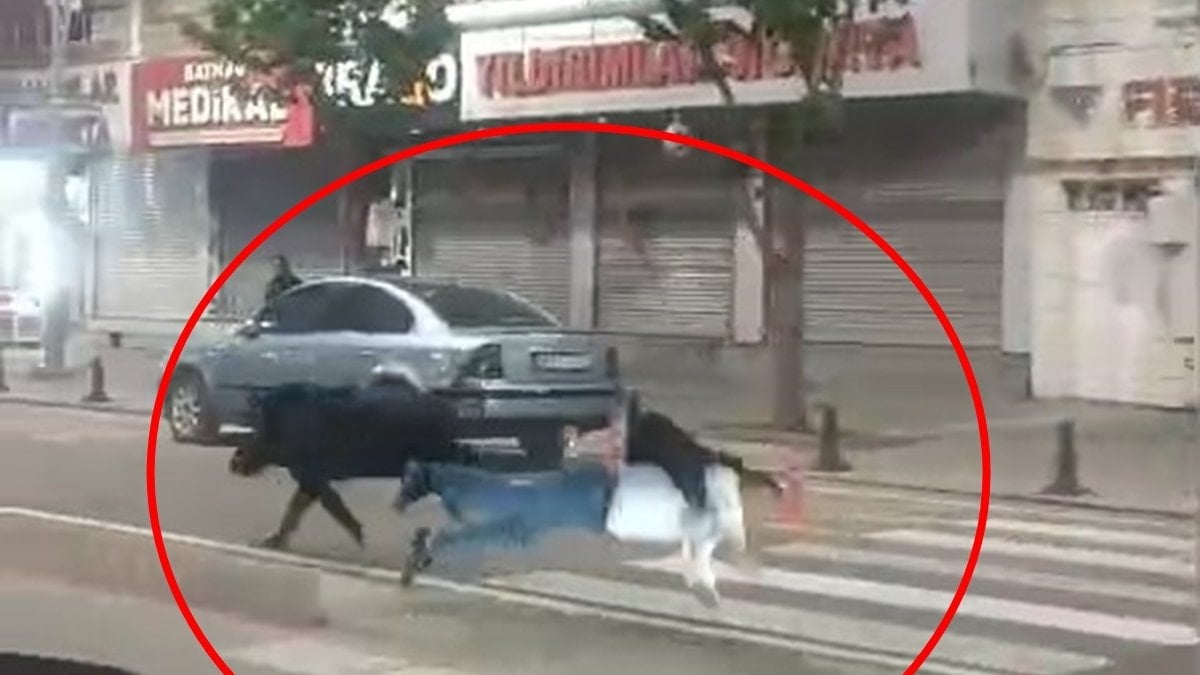 Batman'da sokaklarda dolaşan domuz dehşet saçtı