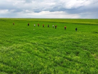 Diyarbakır’da kaybolan 3 yaşındaki Yazgül için seferberlik