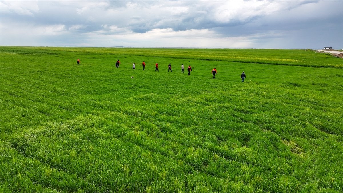 Diyarbakır’da kaybolan 3 yaşındaki Yazgül için seferberlik