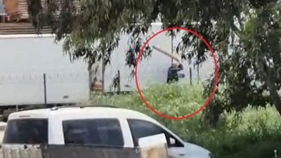 Adana'da sokak köpeğini sopayla döven kişi gözaltına alındı