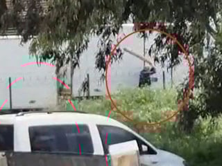 Adana'da sokak köpeğini sopayla döven kişi gözaltına alındı