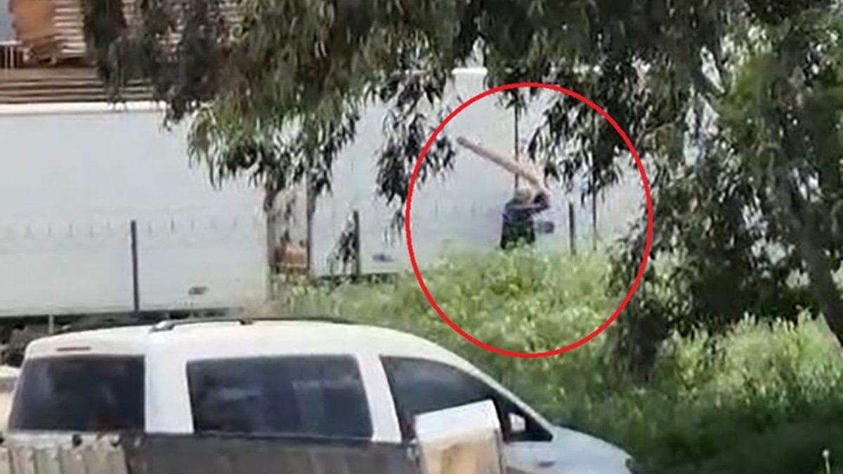 Adana'da sokak köpeğini sopayla döven kişi gözaltına alındı