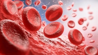 Bilim insanları, 50 yıllık kan grubu gizemini çözdü