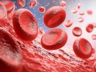 Bilim insanları, 50 yıllık kan grubu gizemini çözdü